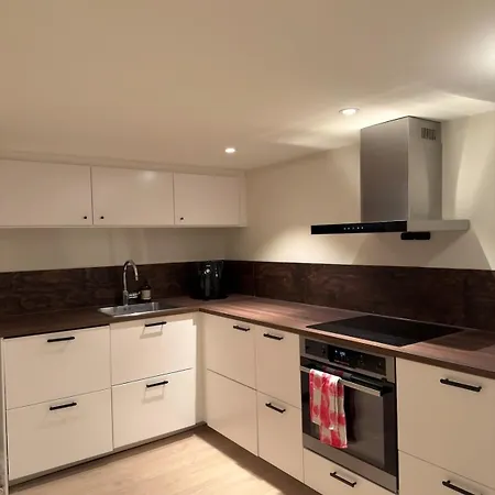 Centrally Located, Fully Furnished, Modern 아파트 드람멘